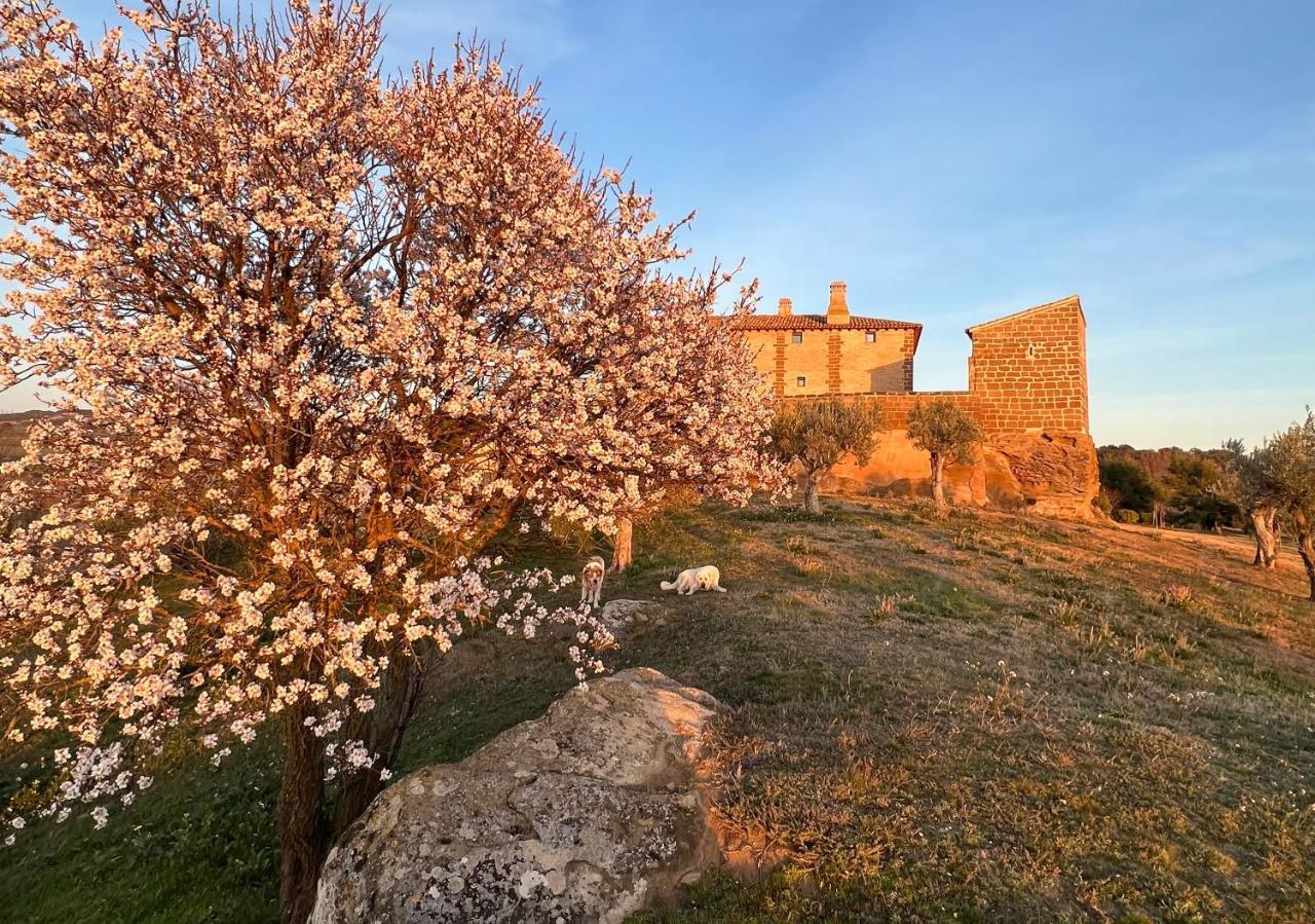 Castillo De Corvinos Huesca Eksteriør bilde